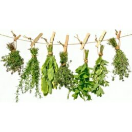 Geurolie Assortiment KRUIDEN